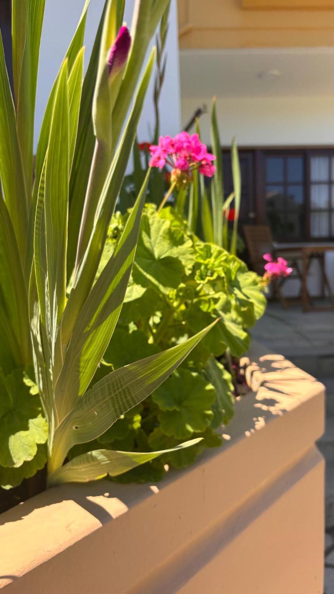 Menelaos Apartments Daratsos Bagian luar foto
